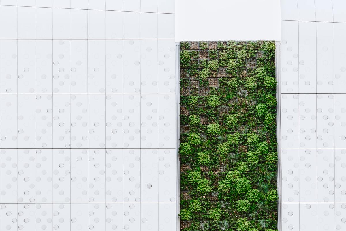 Giardini verticali