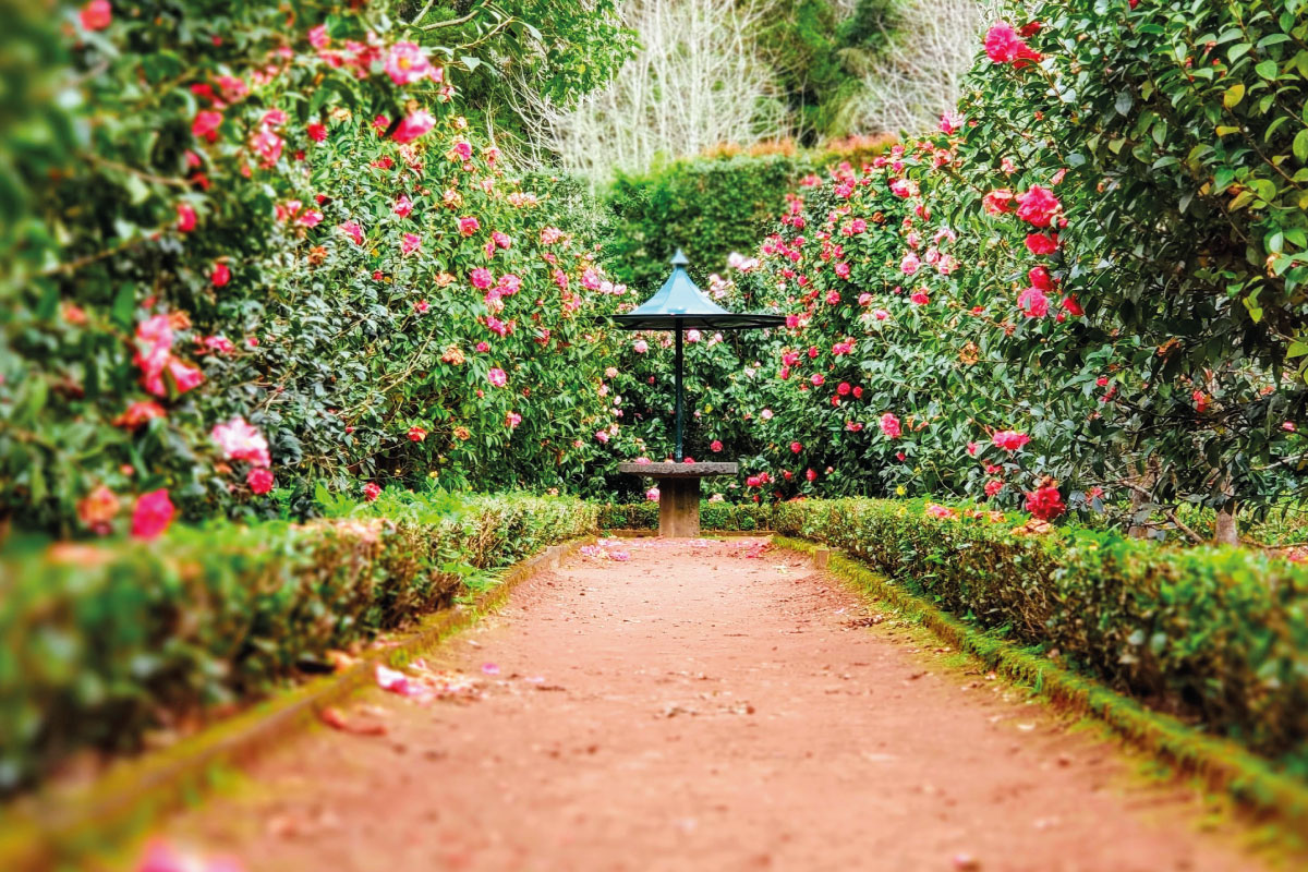 Pulire il vialetto del giardino
