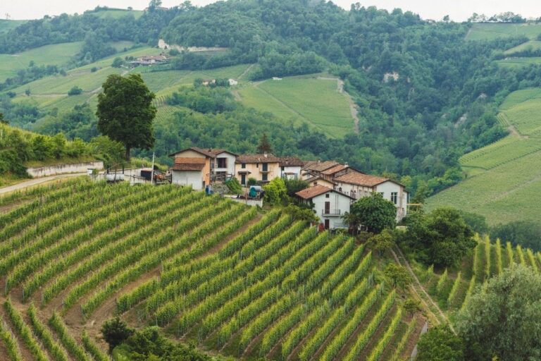Trucchi per avere un terreno agricolo gratis ecco come fare