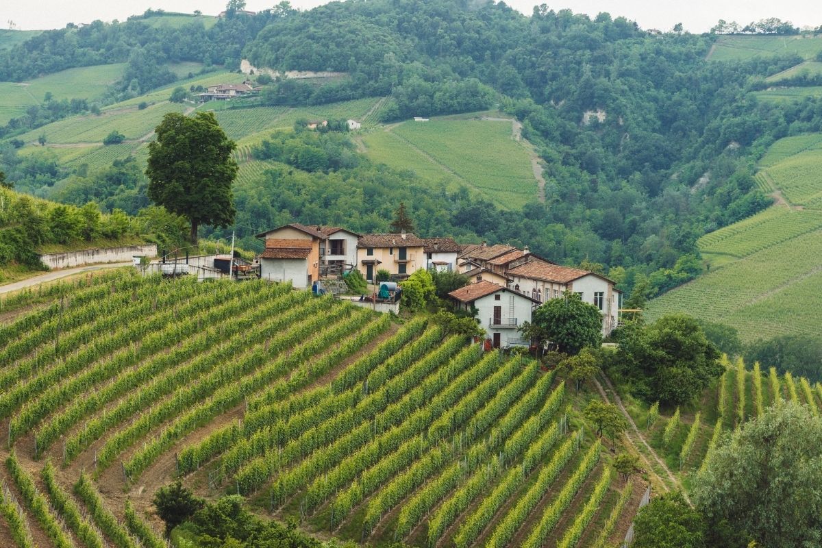 Trucchi per avere un terreno agricolo gratis ecco come fare