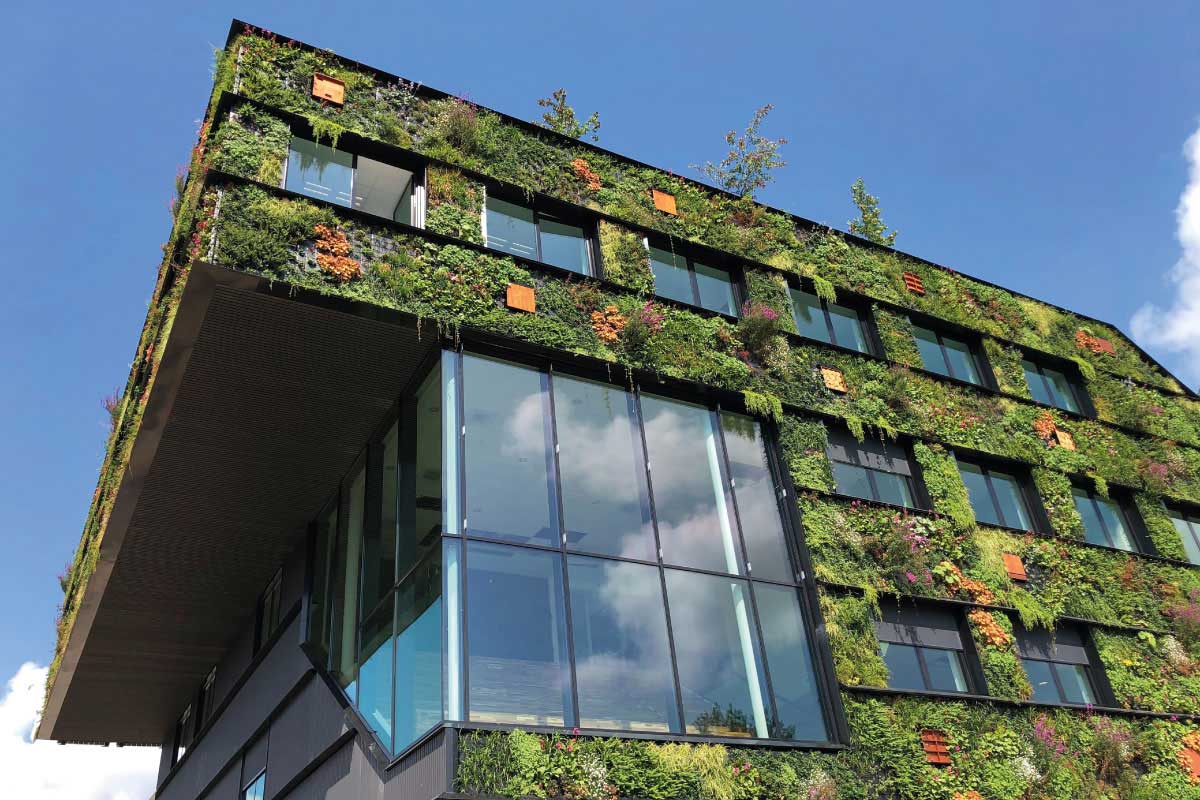 Green building - la nuova architettura