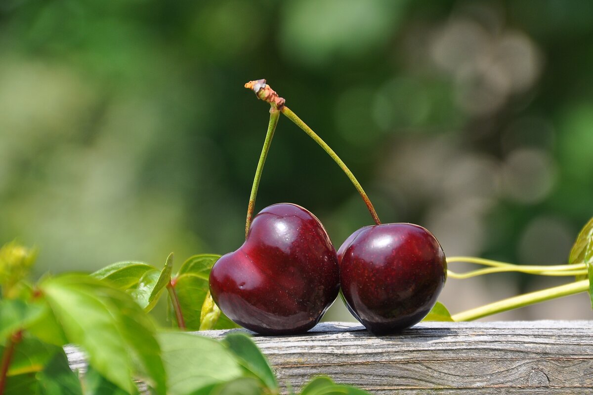 Frutta italiana