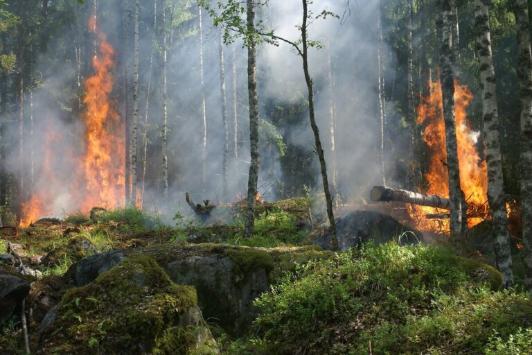 Incendi