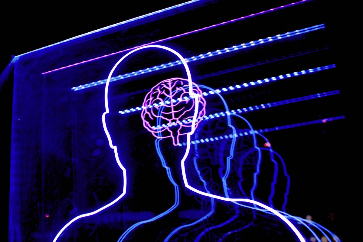 world brain day 2022