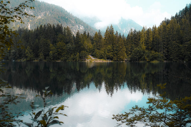 ferragosto trentino