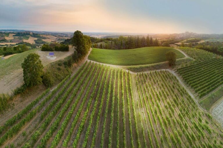 Ferragosto in Piemonte