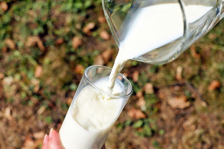 Giornata mondiale del latte vegetale