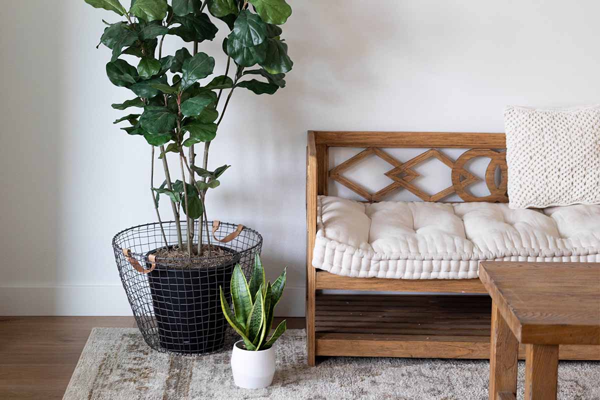 Shabby Chic