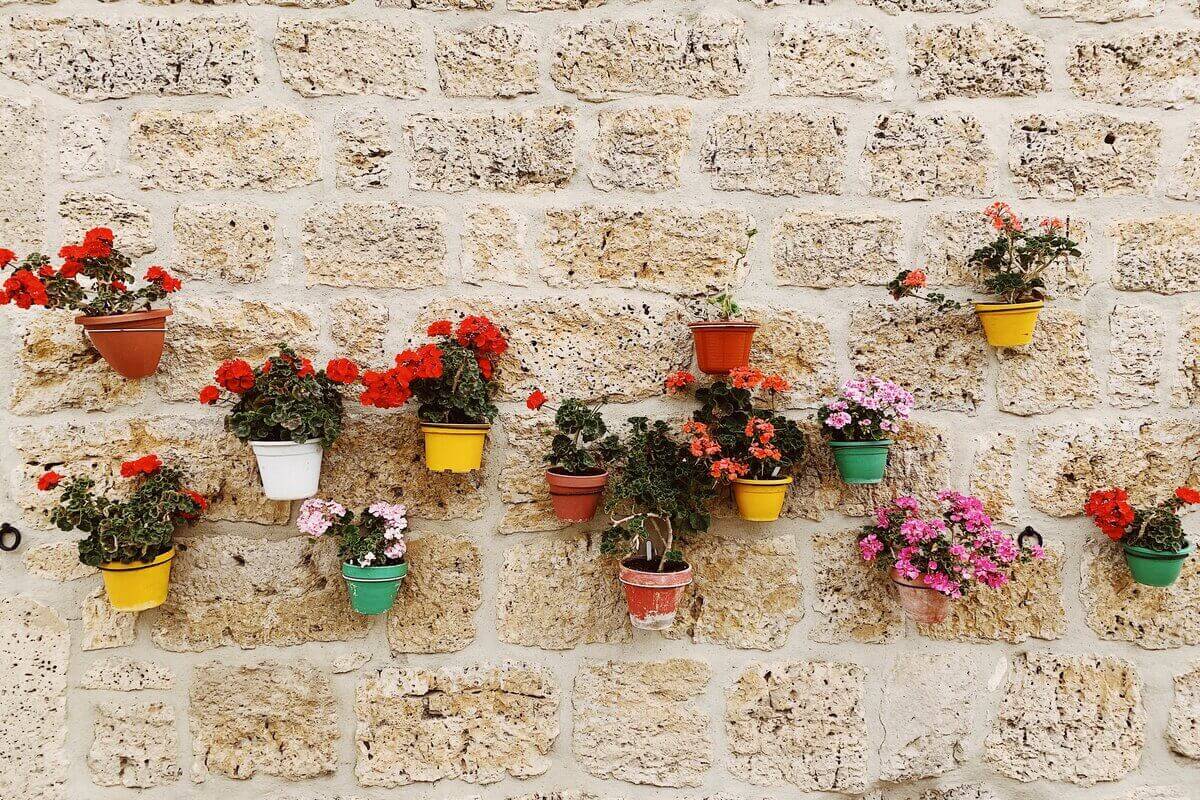 Giardino verticale