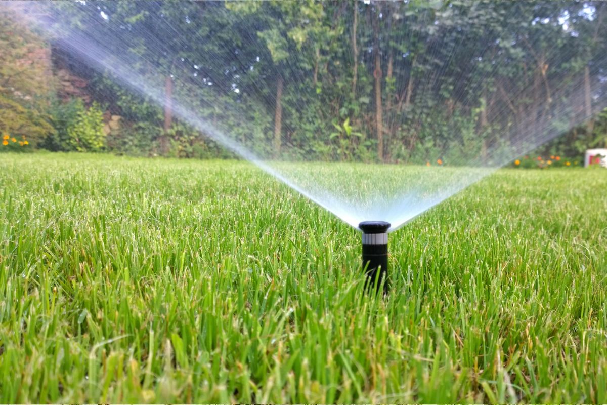 Giardinaggio intelligente