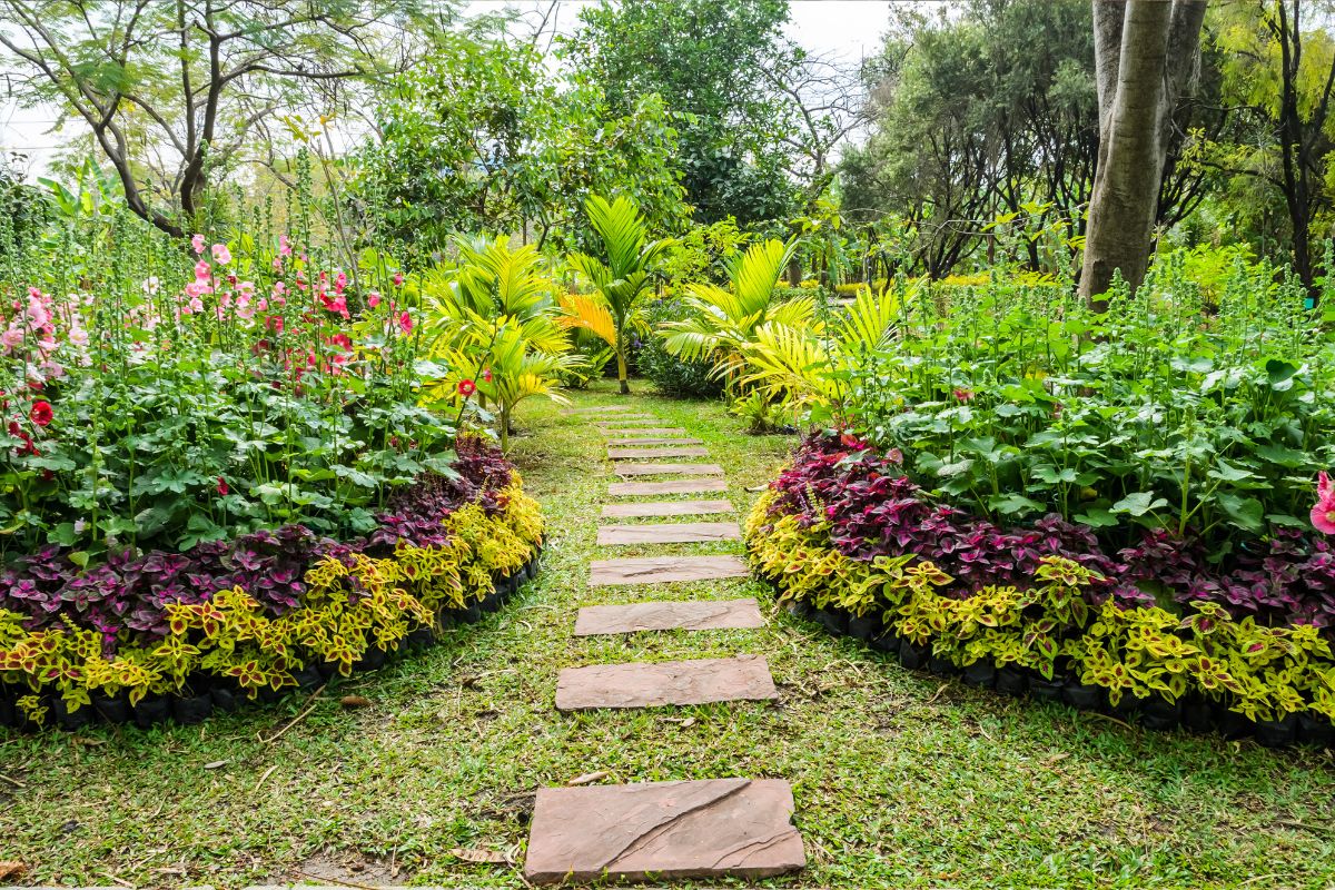 Giardinaggio intelligente