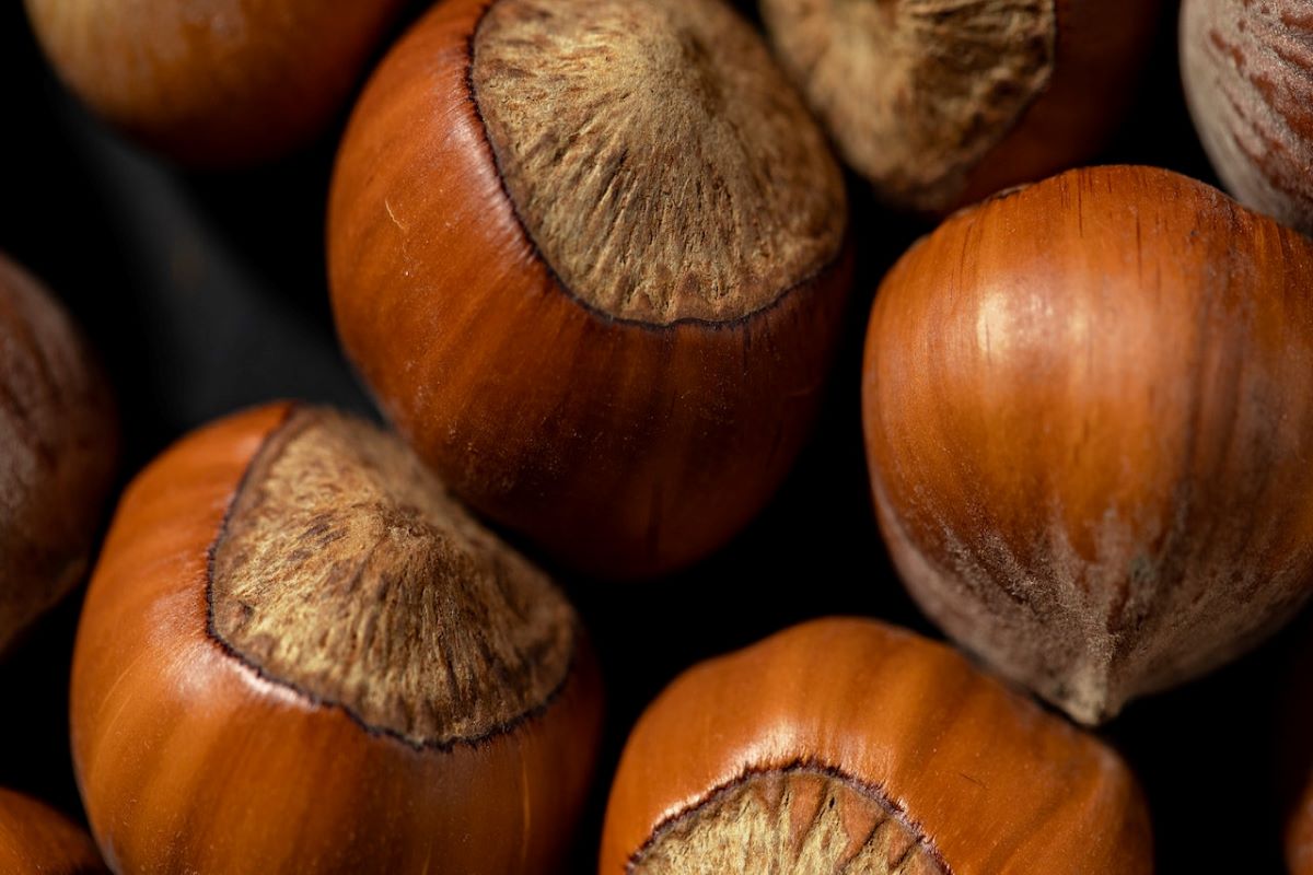 Raccolta castagne Sud Italia