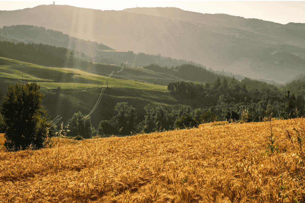 imu terreni agricoli