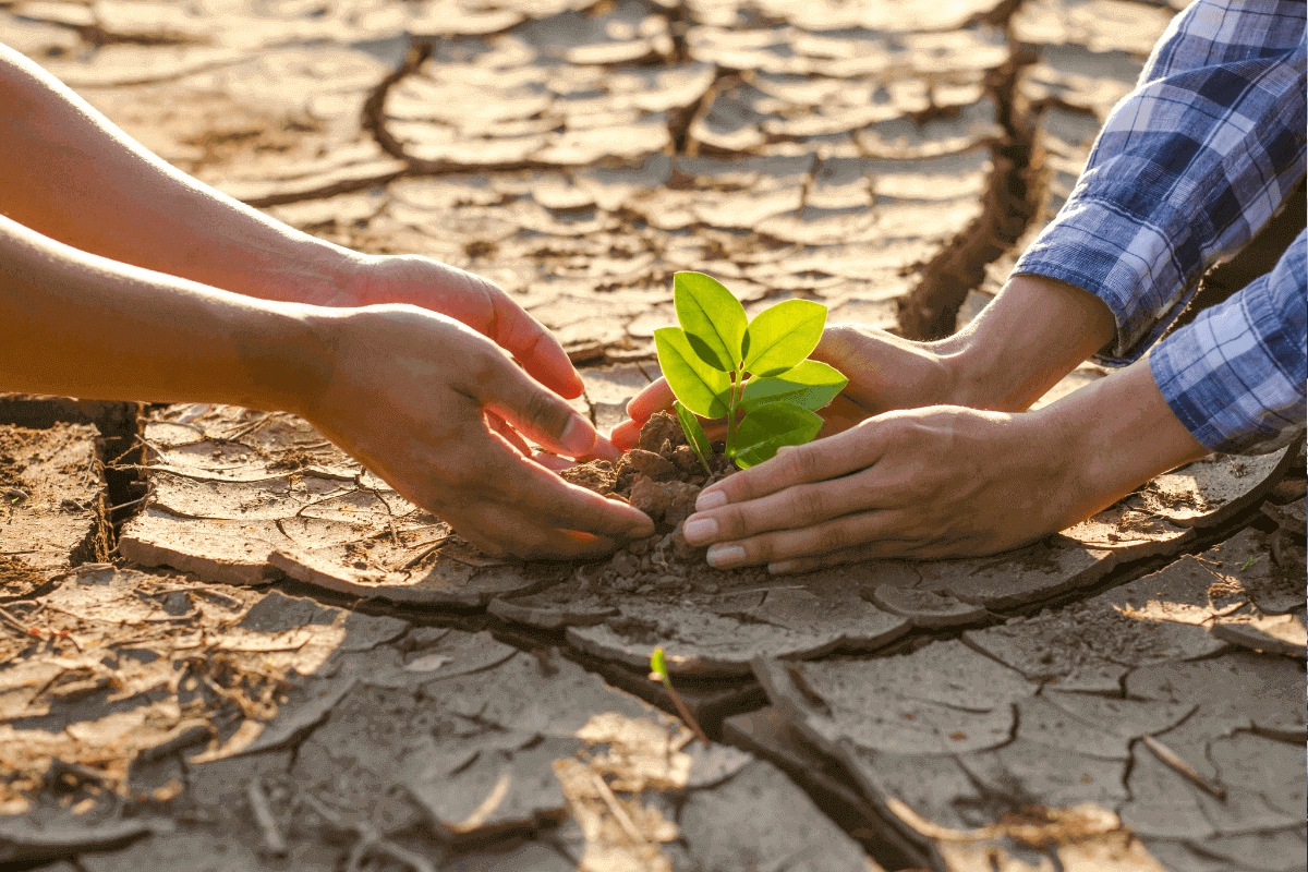 conferenza onu sui cambiamenti climatici