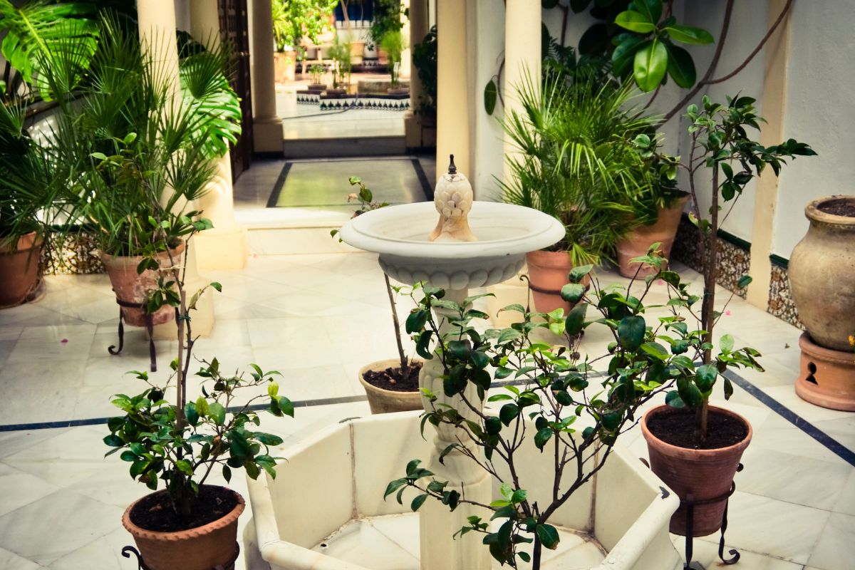 Patio o Corte definizione e differenze con pergolato e gazebo