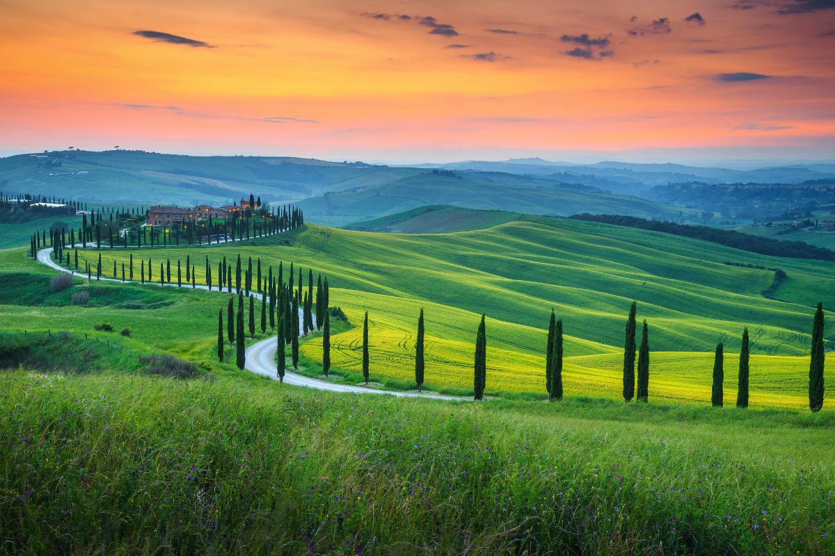 Nasce Brave Tuscany, piattaforma sulle eccellenze della Toscana
