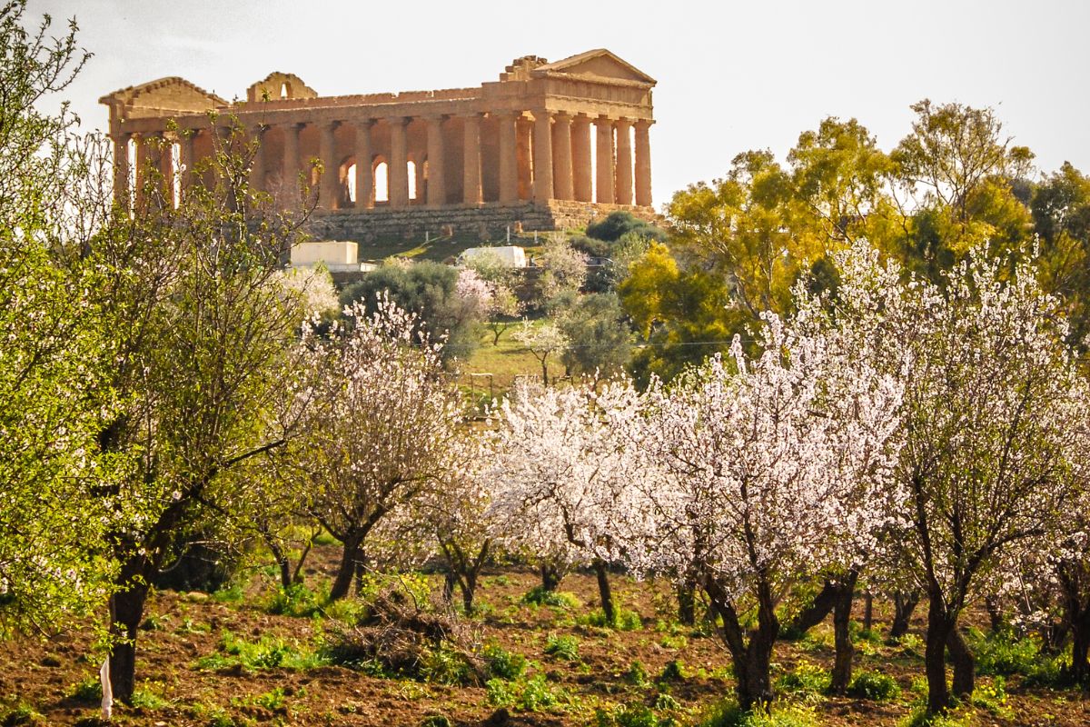 Sagre Italia 2023