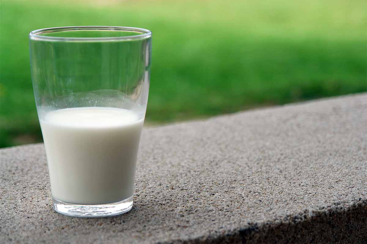 impatto ambientale latte