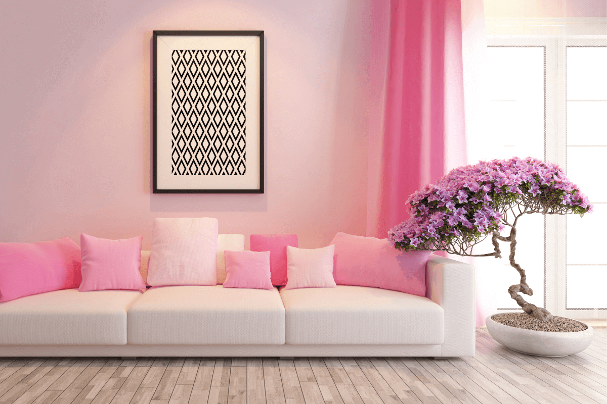 colore fucsia