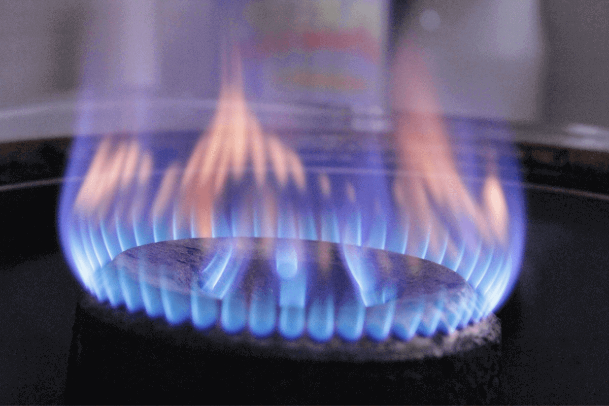 Costo bollette al mese gas