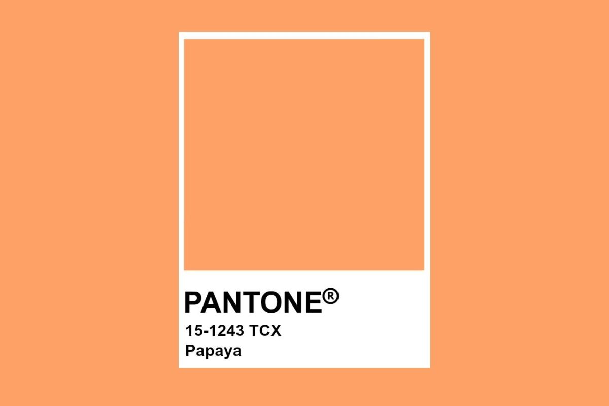 Colore Papaya Pantone