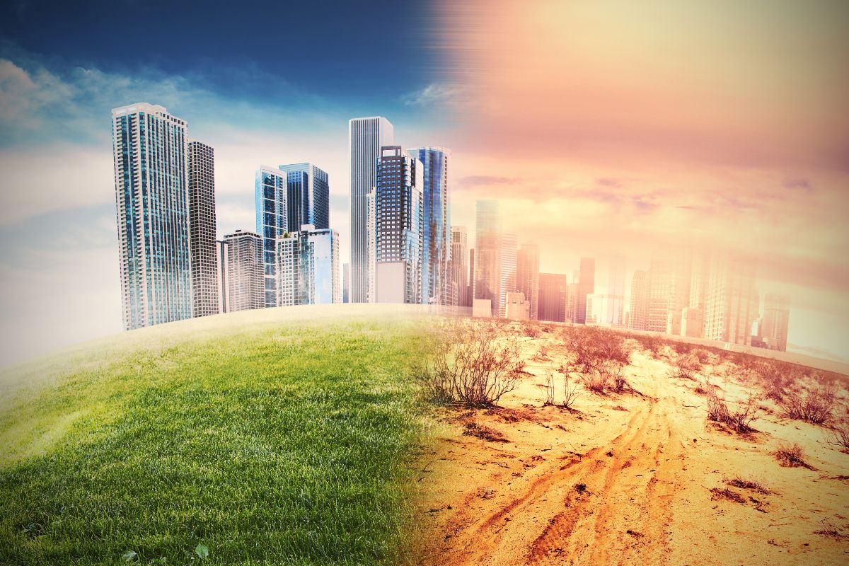 Giornata Mondiale per la Lotta alla Desertificazione e alla Siccità