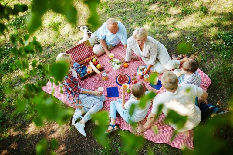 International Picnic Day