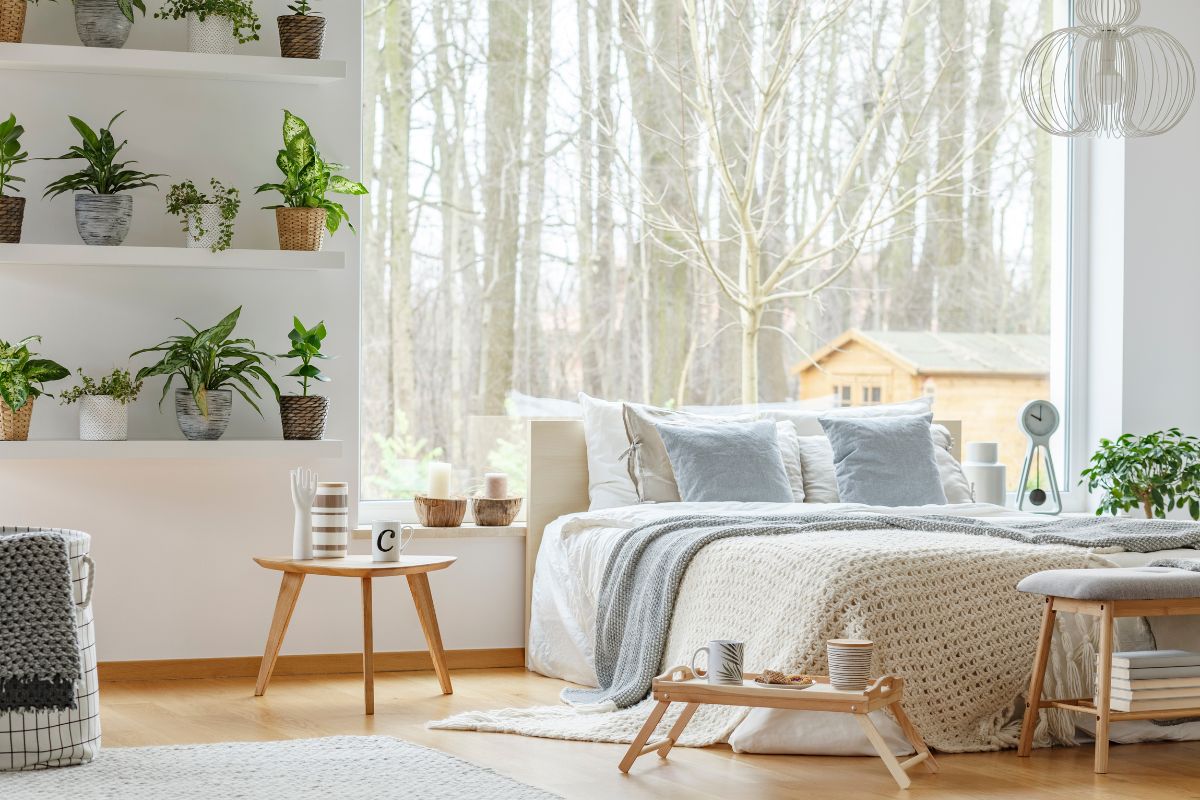 La Legge d'Attrazione in casa per un habitat positivo