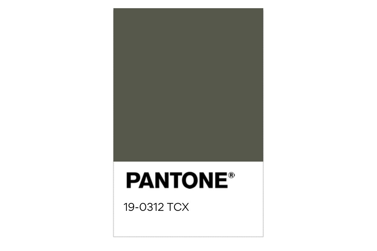 Pantone 19-0312 TCX