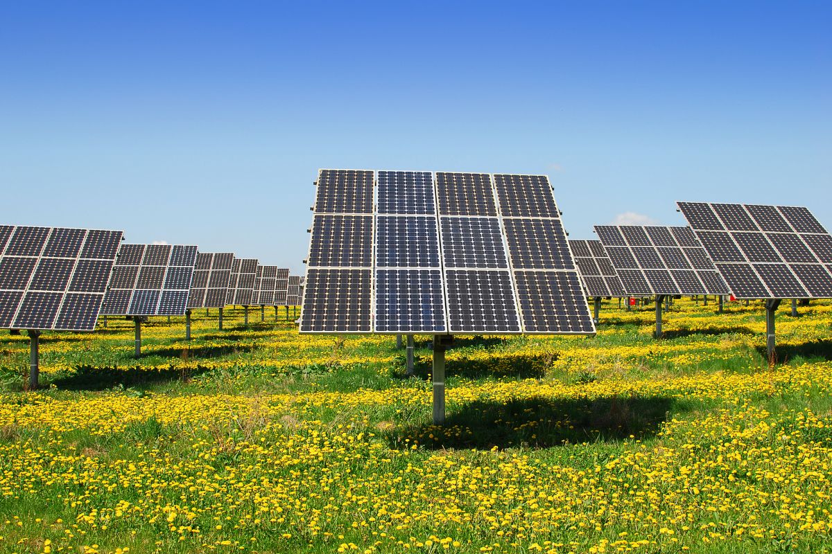 Il settore fotovoltaico in Italia trend