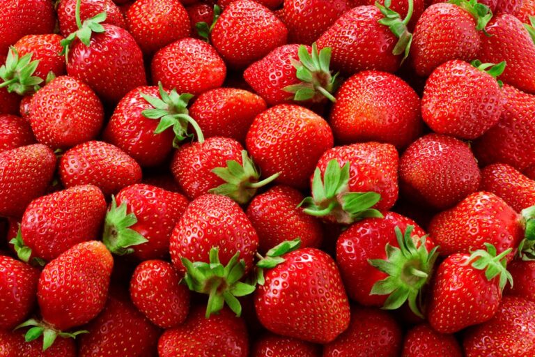 Trucchi per coltivare le fragole