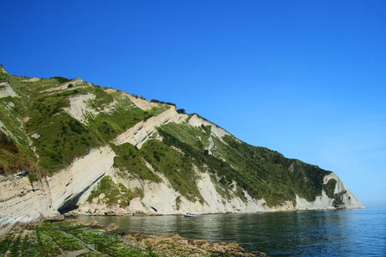 abitanti Marche