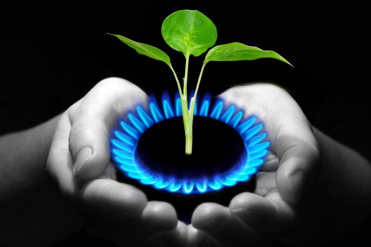 Bonus Luce e Gas 2023 sostenibilità