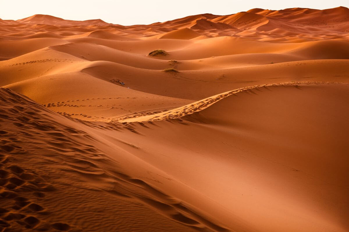 Colori Sabbia deserto