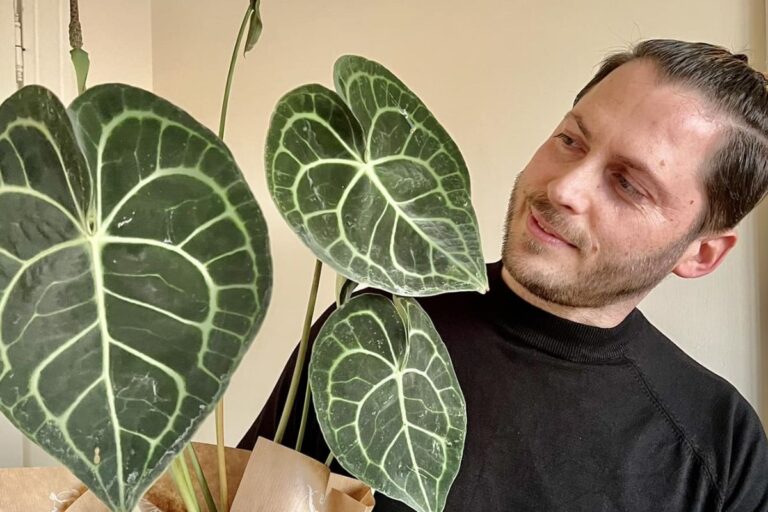 Intervista a Francesco Diliddo Coltivare il Balcone Fiorito tra Passione e Sostenibilità