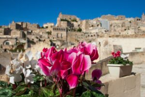 Giornate FAI d'Autunno 2023