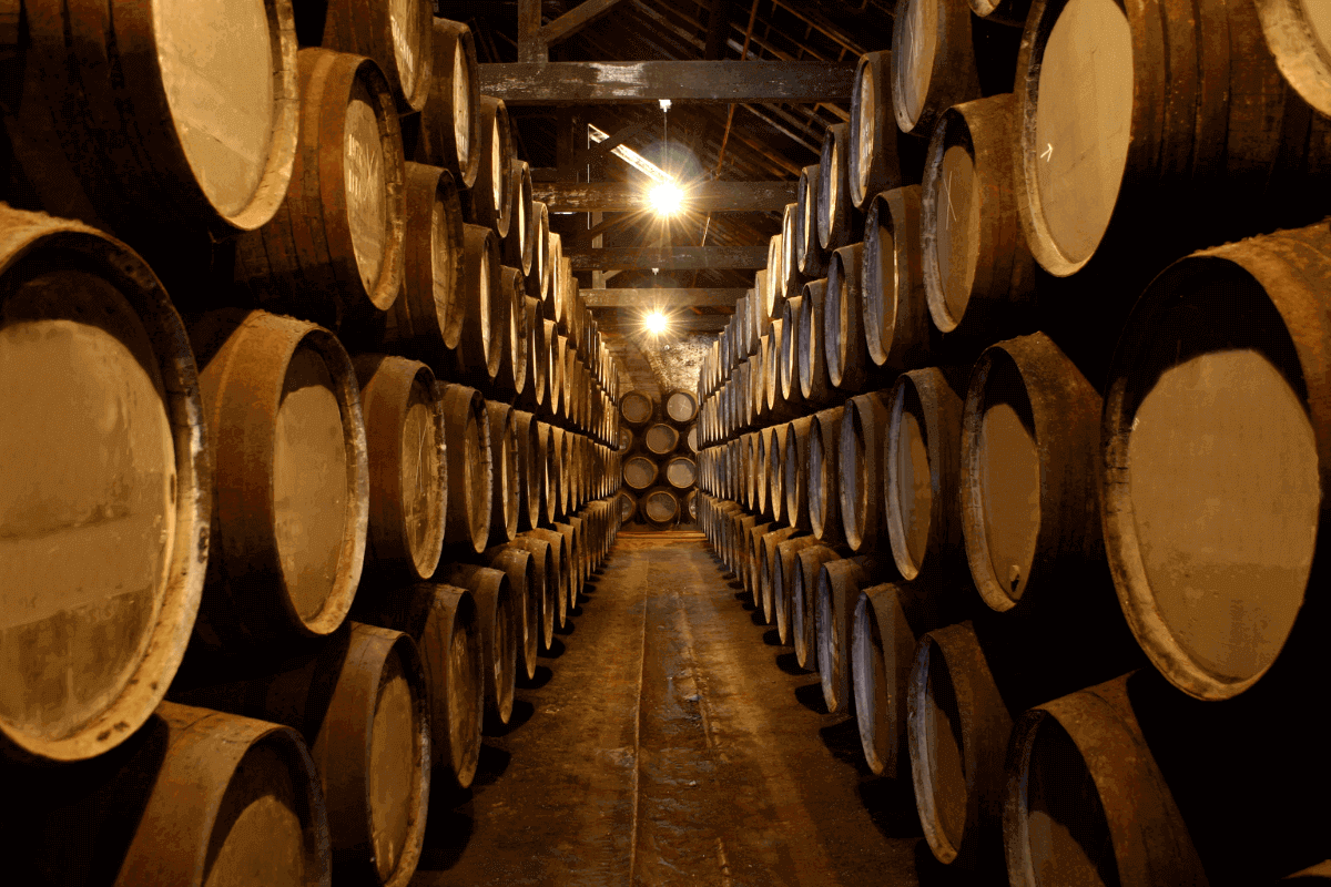 aziende vino Abruzzo
