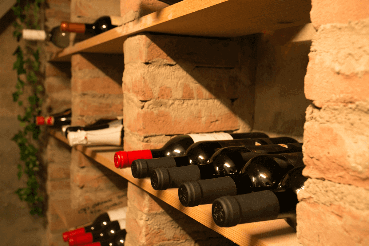 aziende vino Abruzzo