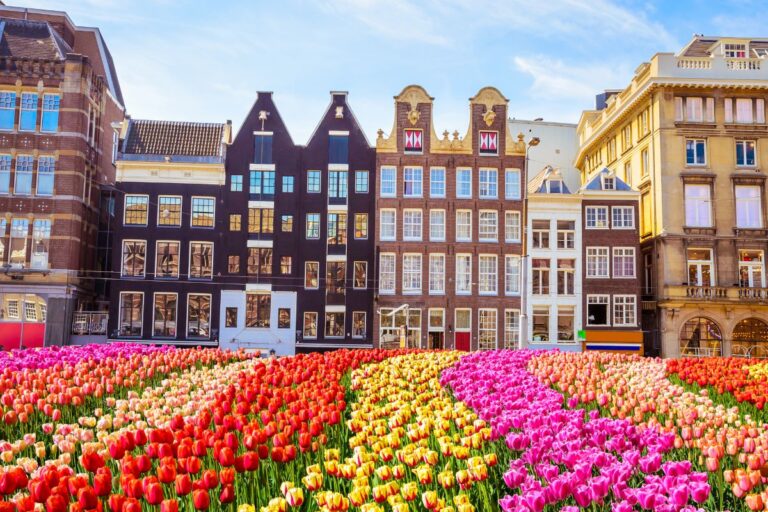 Amsterdam Viaggio Sostenibile Primavera