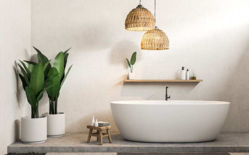 Le migliori piante per profumare il bagno