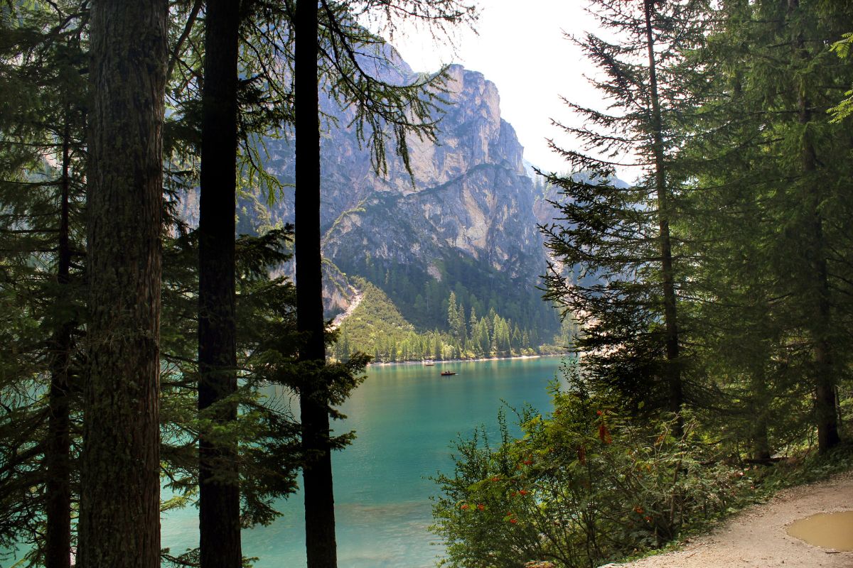 Come Si Chiamano Gli Abitanti Del Trentino Alto Adige Ecco quanti sono gli abitanti in Trentino Alto Adige - I dati aggiornati