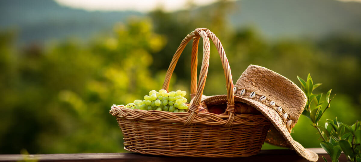 Ecovillaggio in Italia - natura