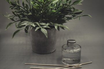 Come profumare la casa in modo elegante: idee moderne e naturali per ogni ambiente