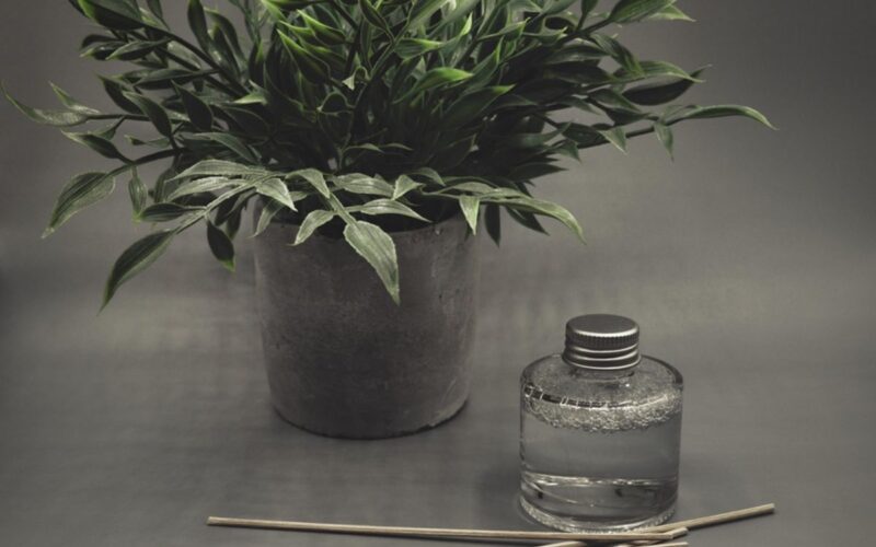 Come profumare la casa in modo elegante idee moderne e naturali per ogni ambiente