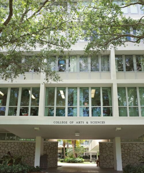 Edilizia scolastica innovativa: come creare ambienti sicuri e funzionali