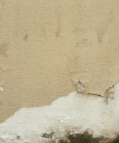 Umidità in casa: come capire da dove viene e cosa fare