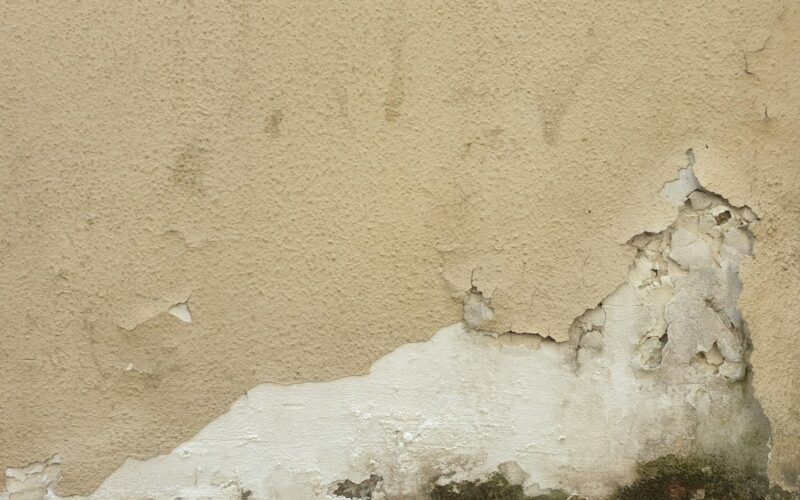 Parete con intonaco scrostato e aloni di umidità nella parte bassa